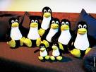 home linux